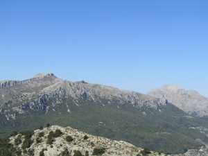 IMG_6936 (Medium)
